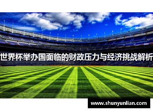世界杯举办国面临的财政压力与经济挑战解析