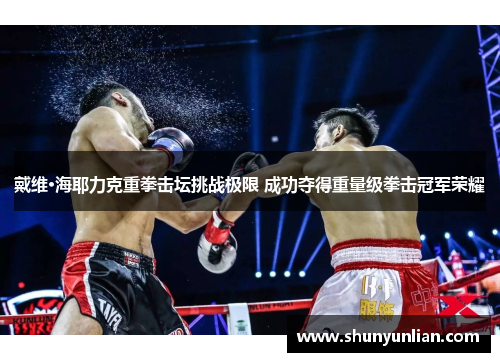 戴维·海耶力克重拳击坛挑战极限 成功夺得重量级拳击冠军荣耀
