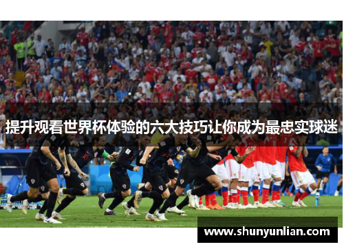 提升观看世界杯体验的六大技巧让你成为最忠实球迷 提升观看世界杯体验的六大技巧让你成为最忠实球迷